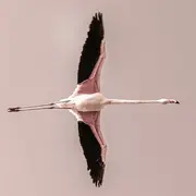 Exposition : Zénitude Crépusculaire - Une exposition de Frank Follet