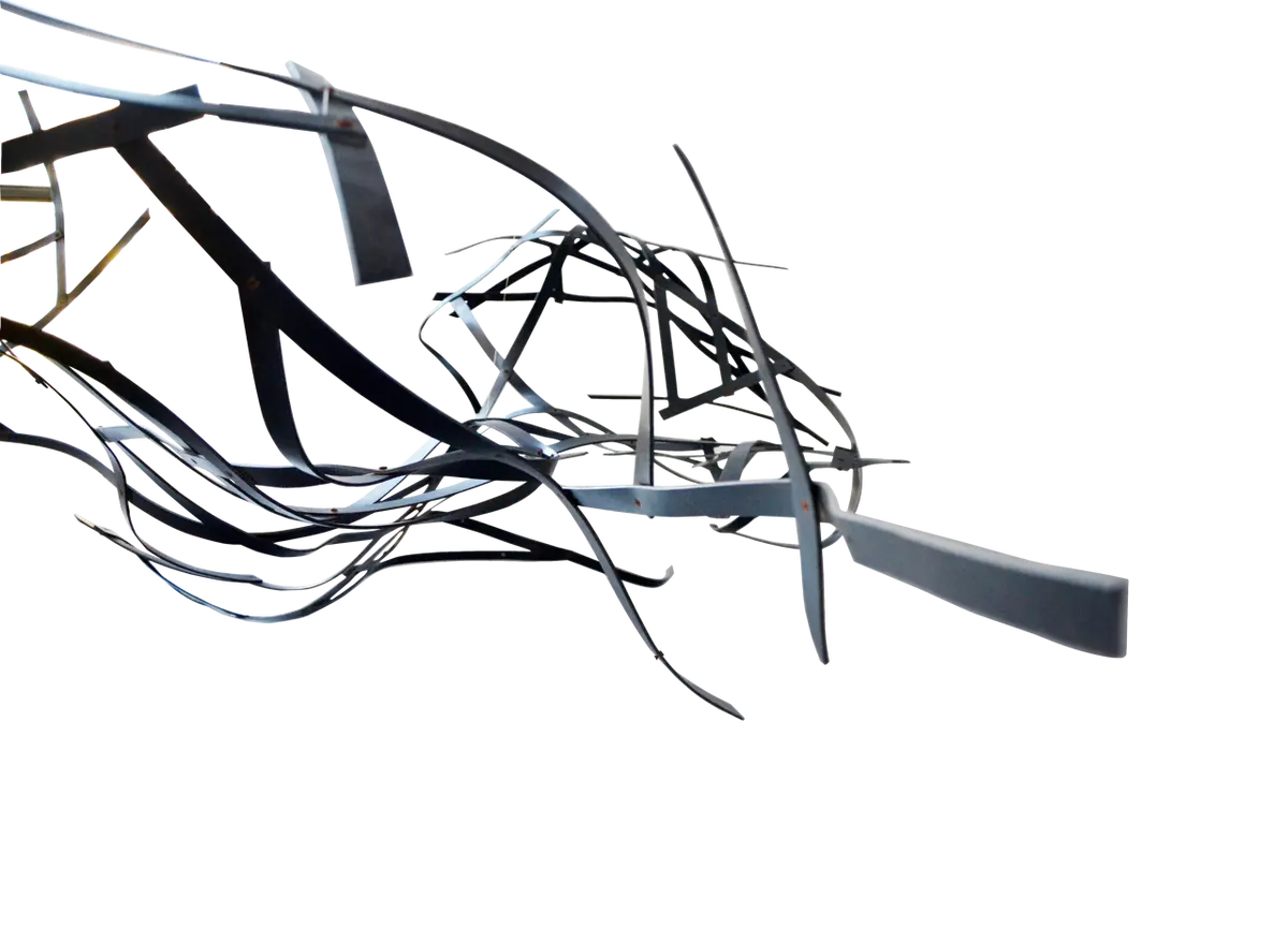 Exposition Zone  de convergence