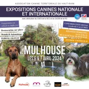 Expositions canines nationale et internationale