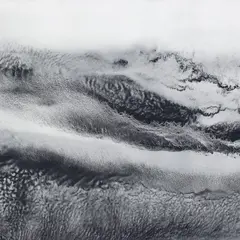 Expositions d'été