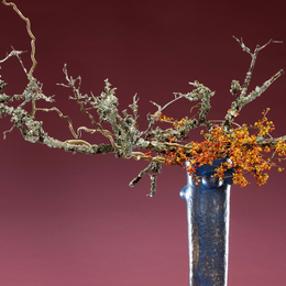 Expositions Dans une composition, une fleur est une personne
