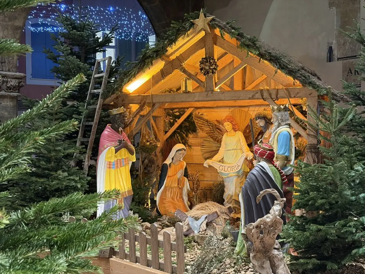 Expositions De Pessebres