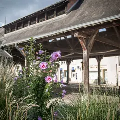 Expositions et démonstrations des artisans