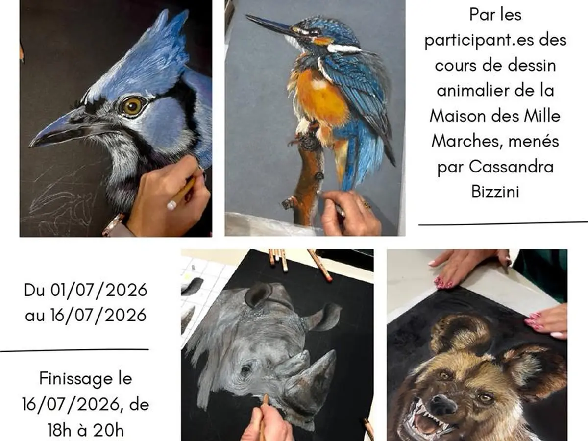 Expositions et restitution