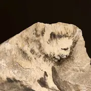 Expositions : Les pierres qui parlent de Marie-Antoinette Bassieux