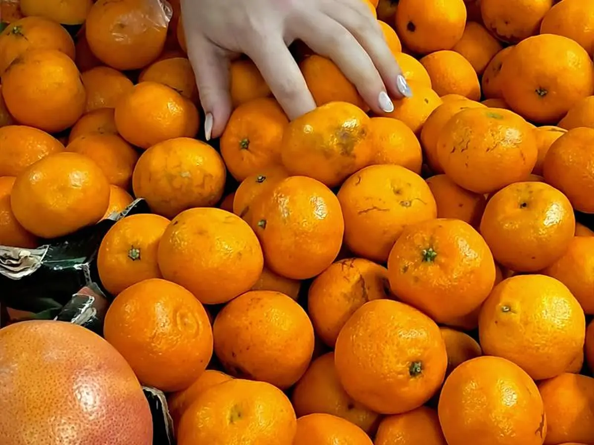 Expoxition photos - Couleur