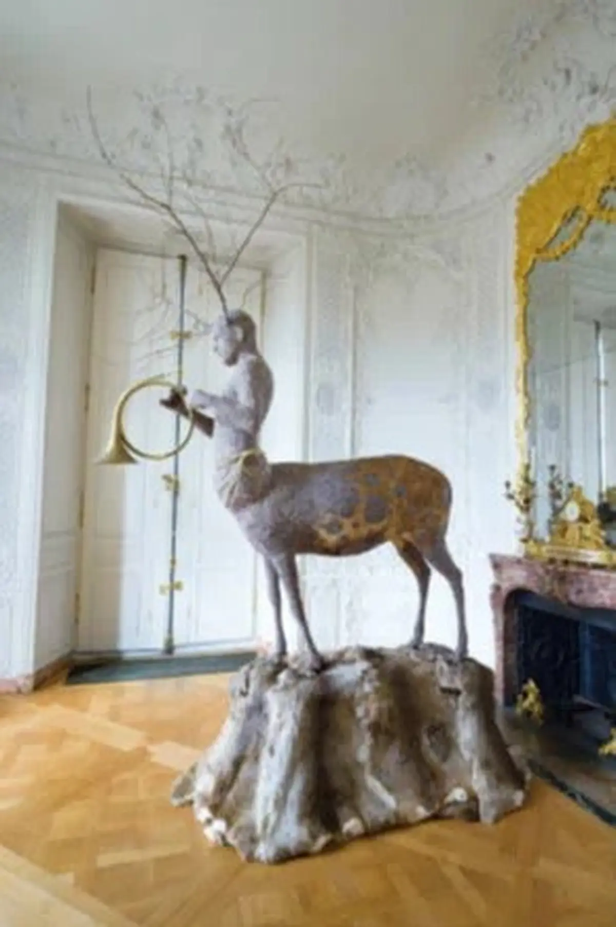 Exwposition L'hiver aux oiseaux - Julien Salaud