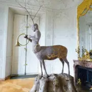 Exwposition L'hiver aux oiseaux - Julien Salaud