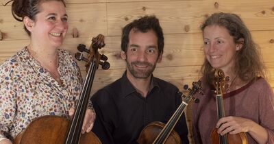 L'art du trio &agrave; cordes