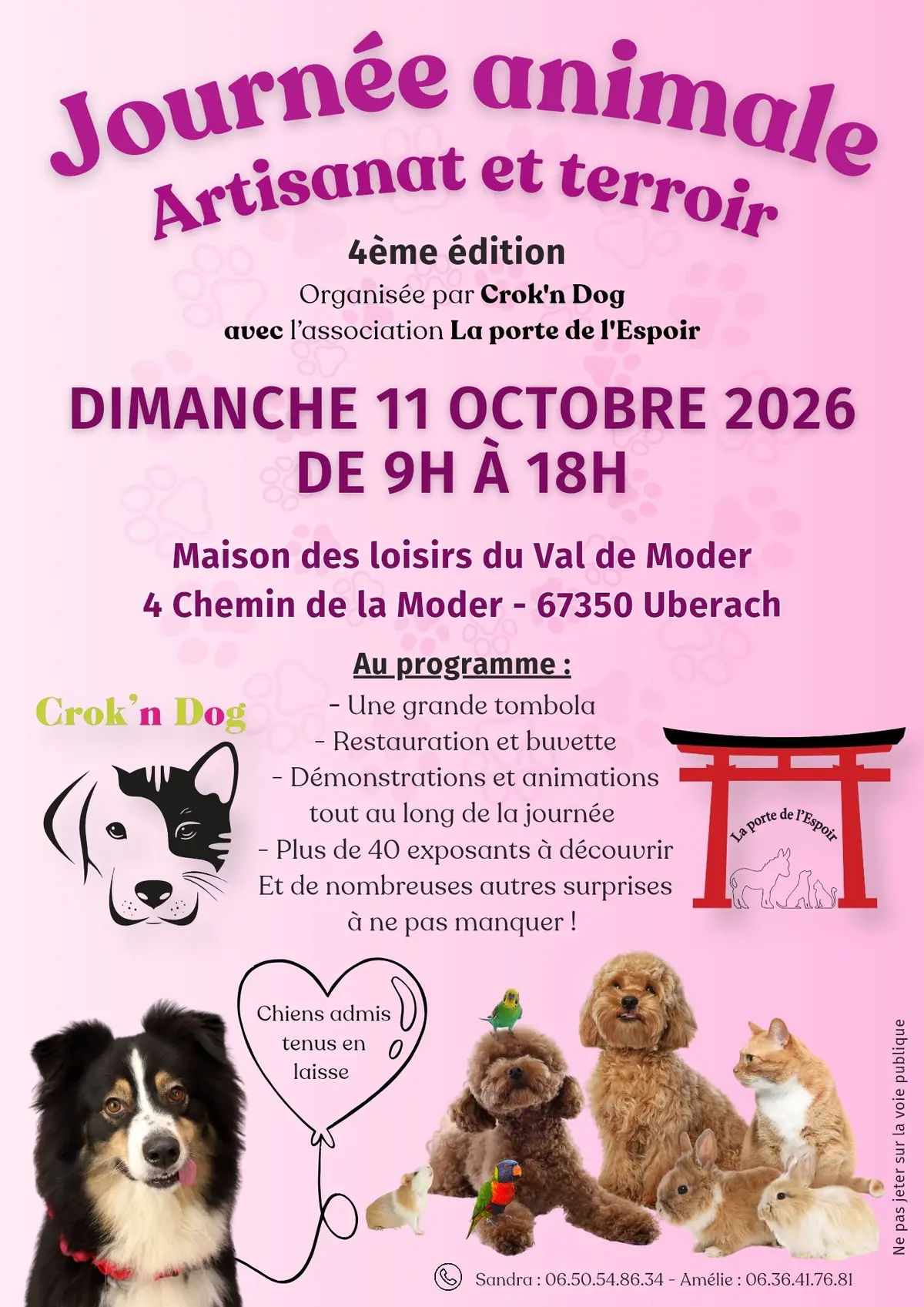 Journée Animale, Artisanat et Terroir