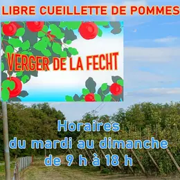 Libre cueillette de pommes à Ammerschwihr
