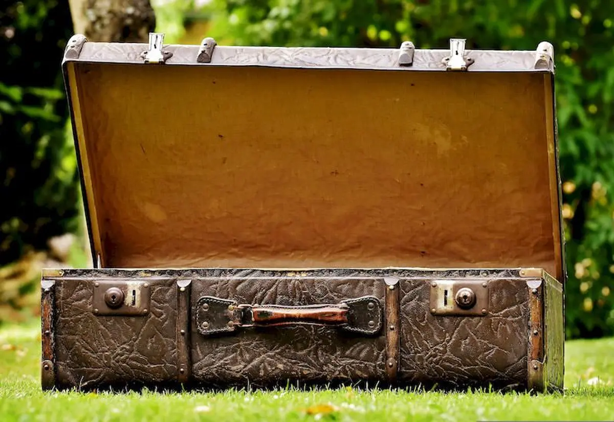 Concert-spectacle Dans la valise... à la médiathèque La Filature