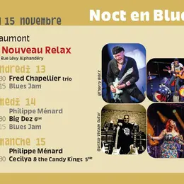 Noct en Blues 2026