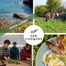 Stage de 4 jours : gastronomie et cueillette des plantes sauvages