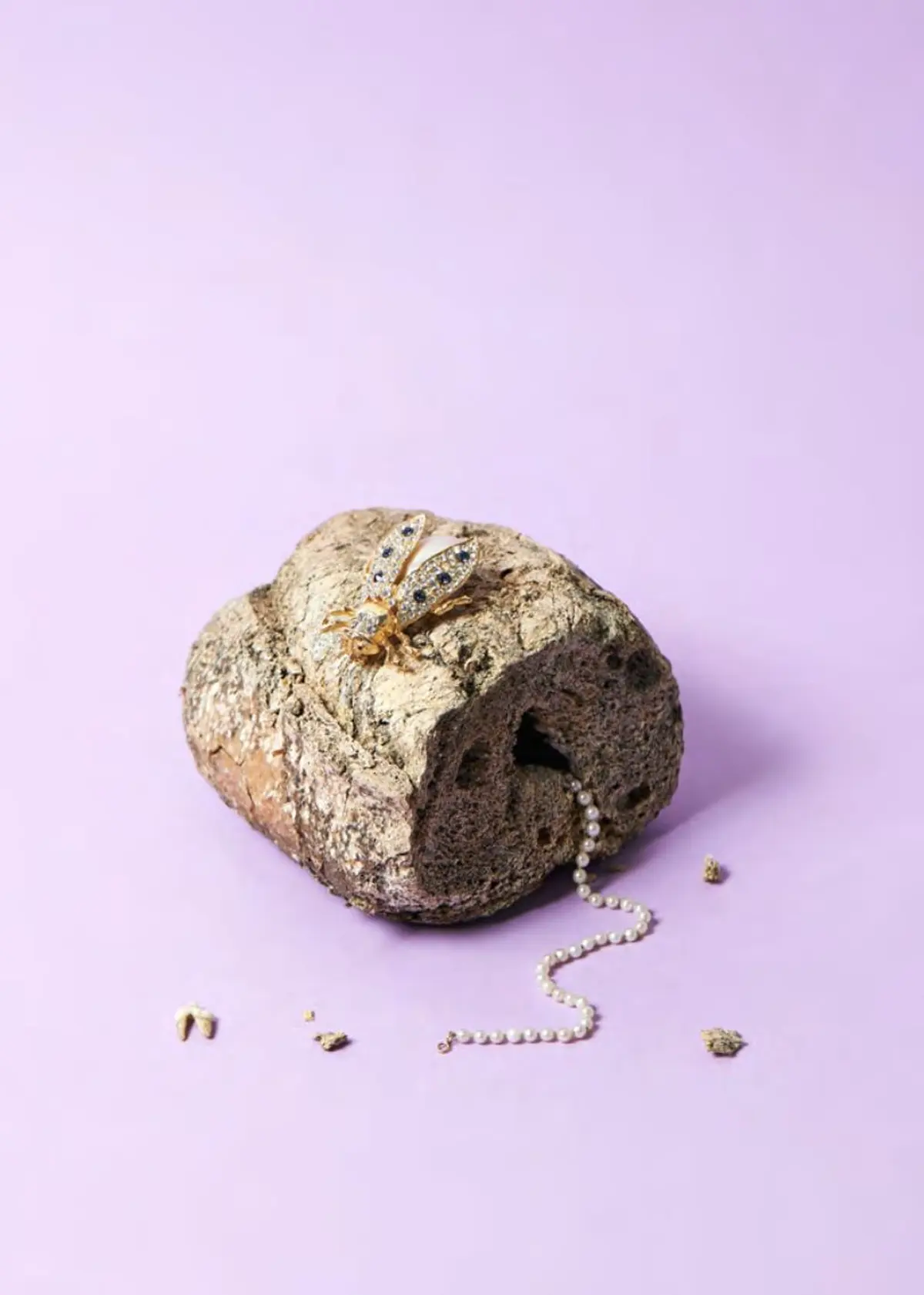 Vernissage : saison Arkhè au FRAC Alsace