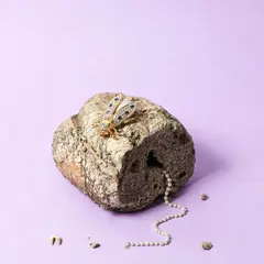 Vernissage : saison Arkhè au FRAC Alsace