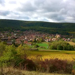 Marche populaire de Rouffach