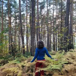 Renforcez votre vitalité avec le bain de forêt
