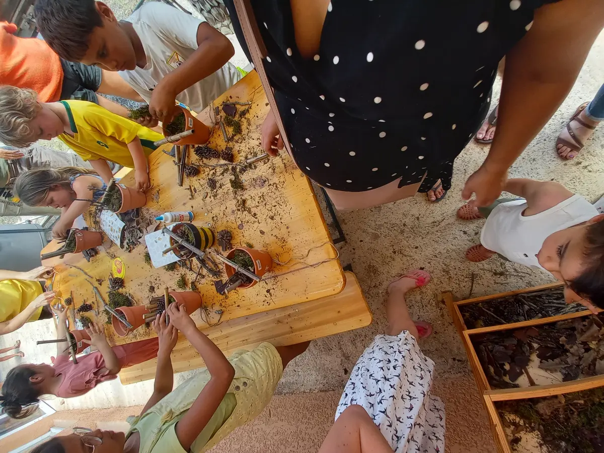 Fabrication D’un Mini-Hôtel à Insectes