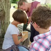 Fabrication d'un nichoir à hirondelle