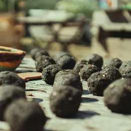 Fabrication de bombes à graines – Semaine KLIMA