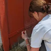 Fabrique du patrimoine : Initiation et chantier participatif peinture à l'ocre