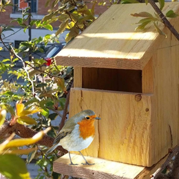 Fabriquez votre nichoir à oiseaux en duo parent-enfant