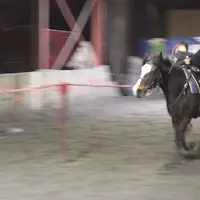 Que faire quand son cheval part au galop ? Un p’tit levé de jambe, tranquilou ! DR