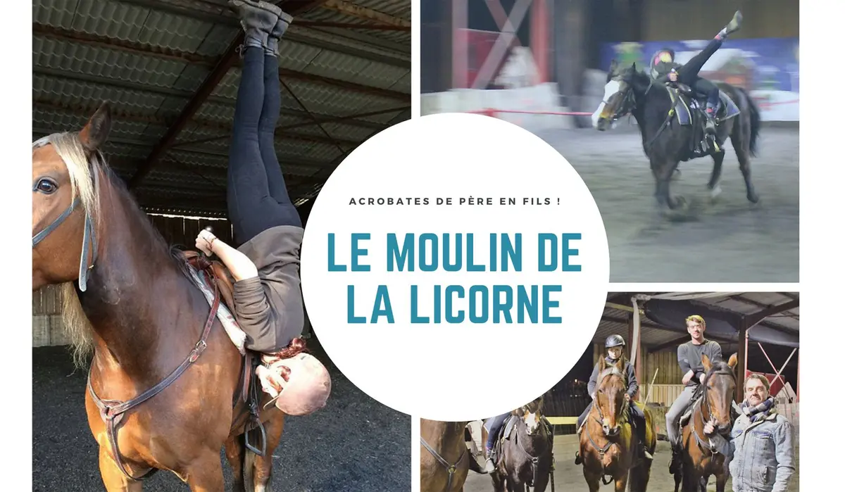 Que faire quand son cheval part au galop ? Un p’tit levé de jambe, tranquilou !