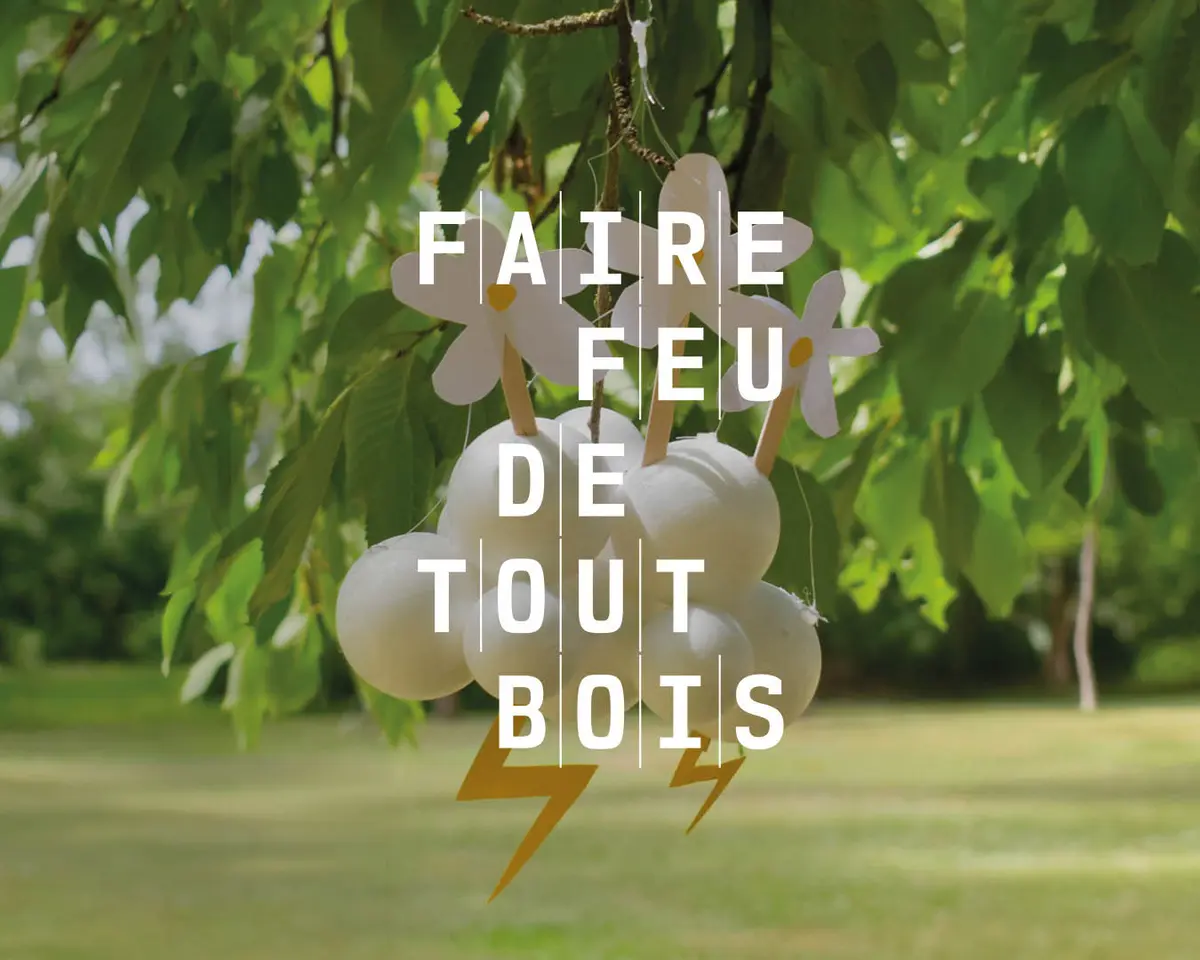 Faire feu de tout bois