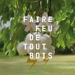 Faire feu de tout bois