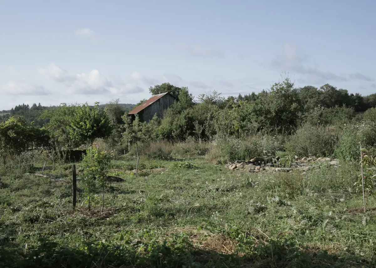 Faire sa mare naturelle