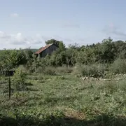 Faire sa mare naturelle