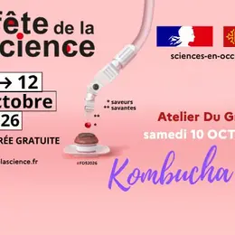 Fais Ton Kombucha !