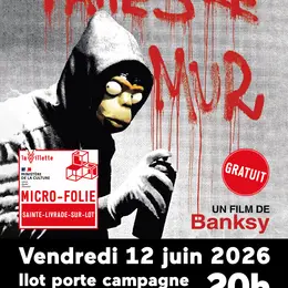 Faites le mur Film documentaire