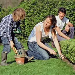 Match : Fan de jardinage vs Fan de remue-ménage