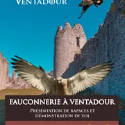 Fauconnerie au Château de Ventadour