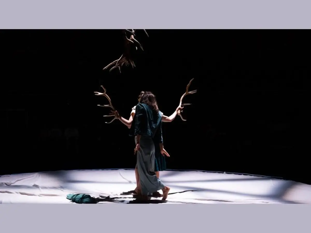 Faune avec la Cie Libertivore dans le cadre de La Nuit du Cirque