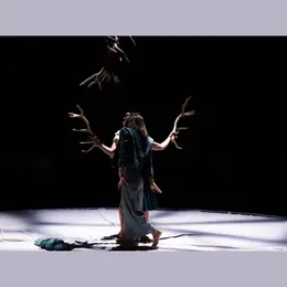 Faune avec la Cie Libertivore dans le cadre de La Nuit du Cirque