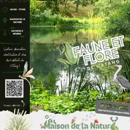 Faune et Flore de l'étang