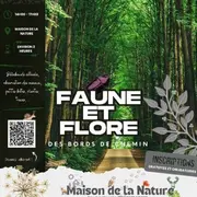 Faune et flore des bords de chemins