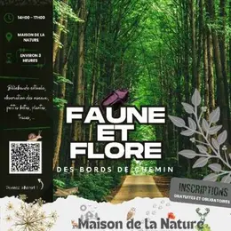 Faune et flore des bords de chemins