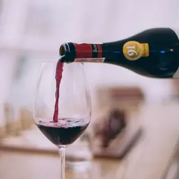 Initiation à l'œnologie