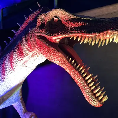 Le Monde des Dinosaures à Dinan