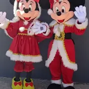 Féeries Little Queen