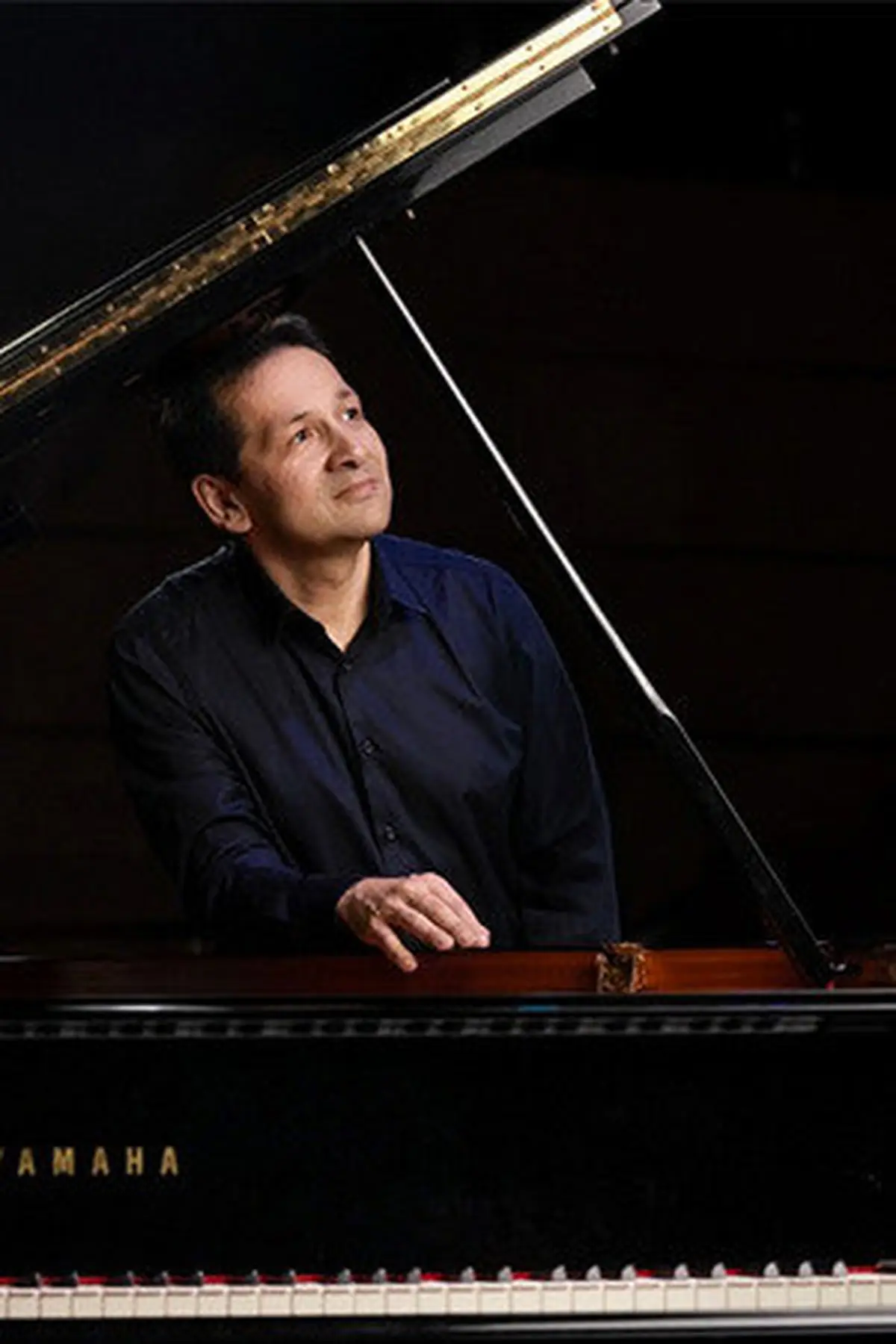 Ferenc Vizi : Beethoven / Chopin / Liszt / Karen Tanaka