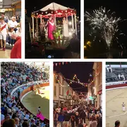 Féria d'Aire sur l'Adour