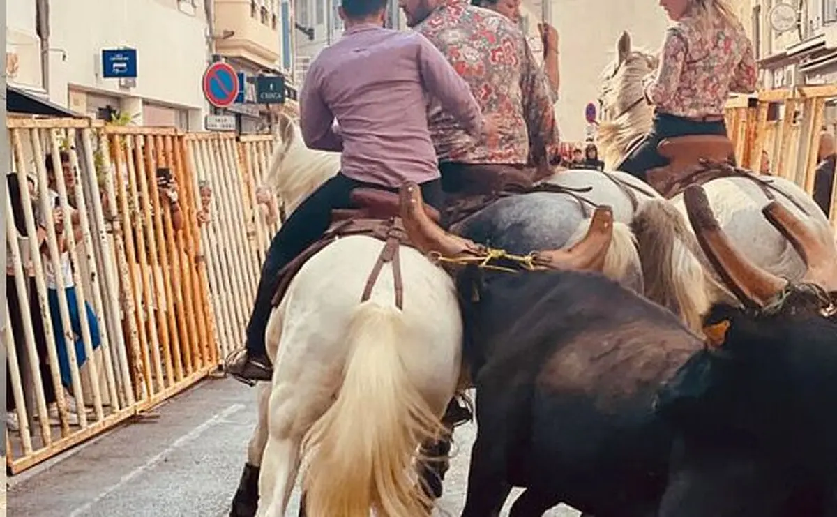Corridas, novilladas, bandas, bodegas et animations d rue font vibrer le cœur d'Istres.