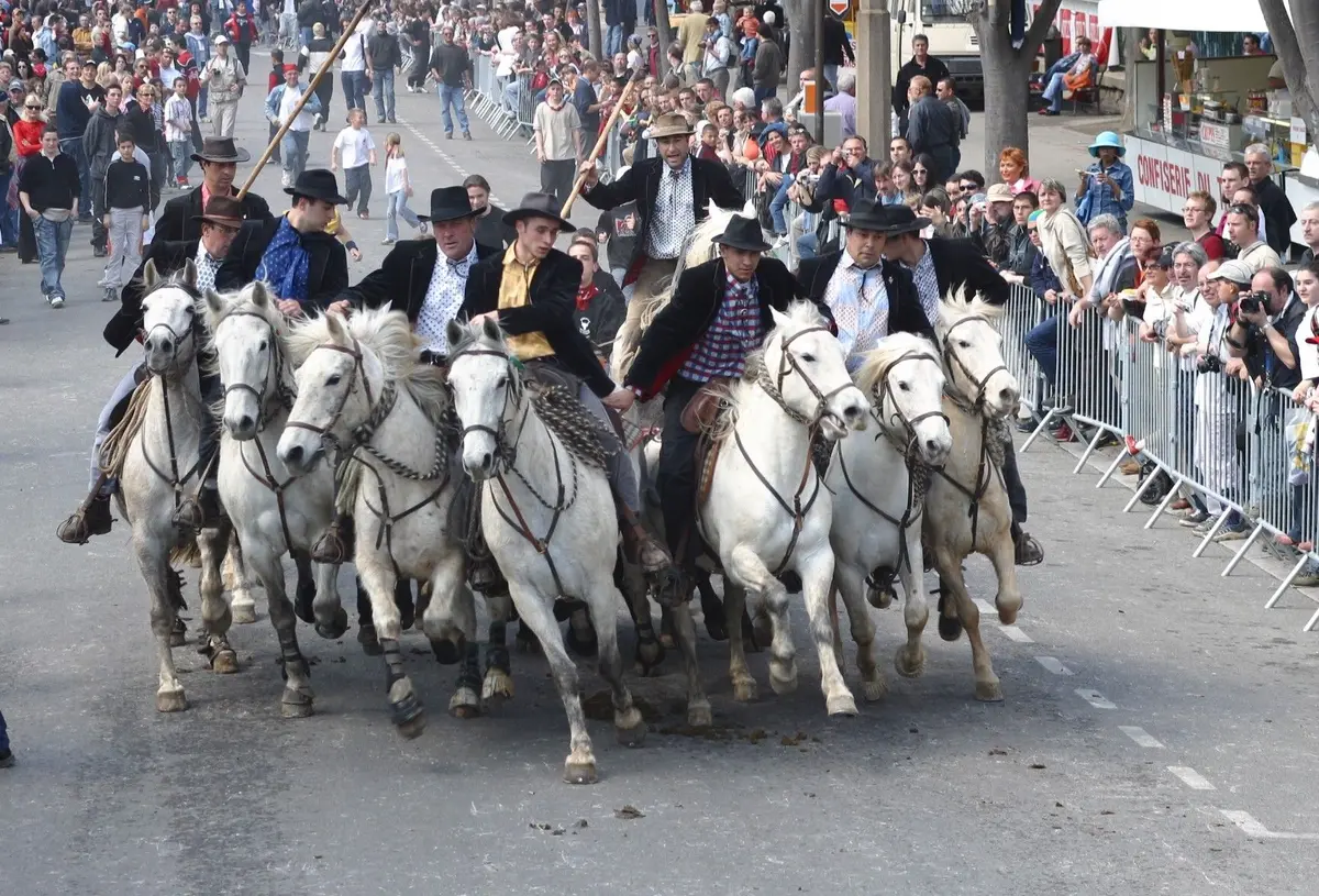 Les encierros et abrivados font partie des rendez-vous les plus attendus par le public dans le cadre de la Feria d'Arles