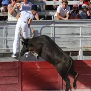 Féria de Pâques - Course Camarguaise